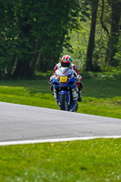 cadwell-no-limits-trackday;cadwell-park;cadwell-park-photographs;cadwell-trackday-photographs;enduro-digital-images;event-digital-images;eventdigitalimages;no-limits-trackdays;peter-wileman-photography;racing-digital-images;trackday-digital-images;trackday-photos